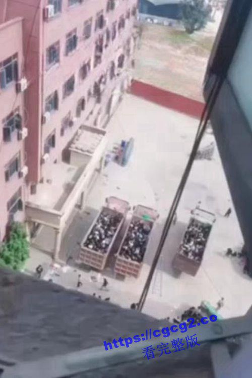 910_2023-11-02_17-27-43.jpg 910_2023-11-02_17-27-43.jpg