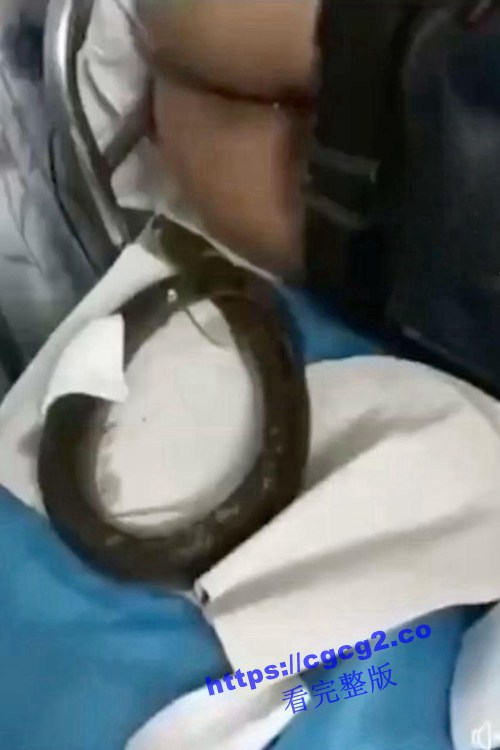 504_2024-01-10_16-04-43.jpg 504_2024-01-10_16-04-43.jpg